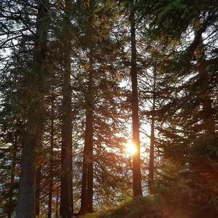 Appartement Bettina *