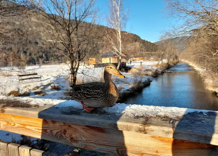 Bettina Apartment Ehrwald